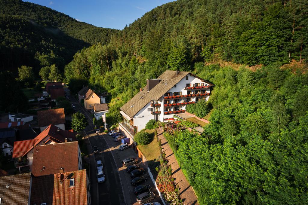 Hotel Die Kleine Blume Erfweiler Экстерьер фото