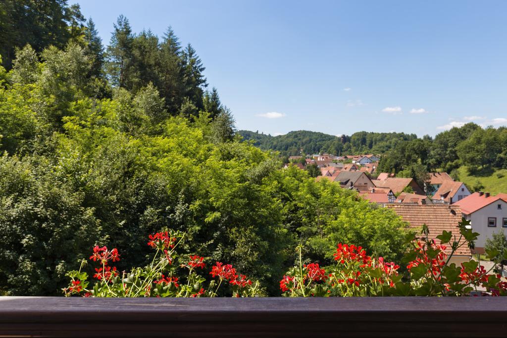 Hotel Die Kleine Blume Erfweiler Экстерьер фото