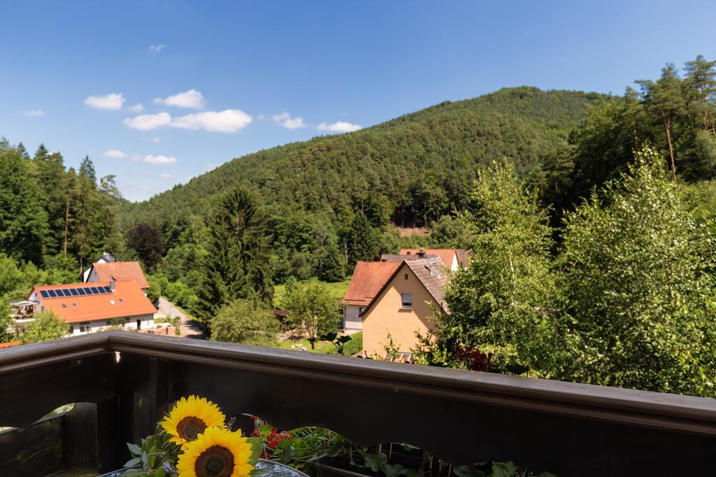 Hotel Die Kleine Blume Erfweiler Экстерьер фото