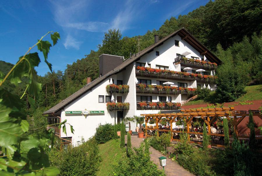 Hotel Die Kleine Blume Erfweiler Экстерьер фото